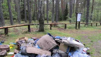 Coraz więcej śmieci w warmińsko-mazurskich lasach