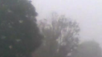 Mgła w Jaworznie na Opolszczyźnie