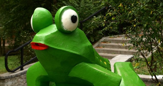 W tym miesiącu wynajęta przez władze Olsztyna firma ma zeskrobać farbę z dwóch rzeźb znajdujących się w jednym z olsztyńskich parków. Pomnik żaby i kupidyna został pomalowany przez nieznanych sprawców na początku września.