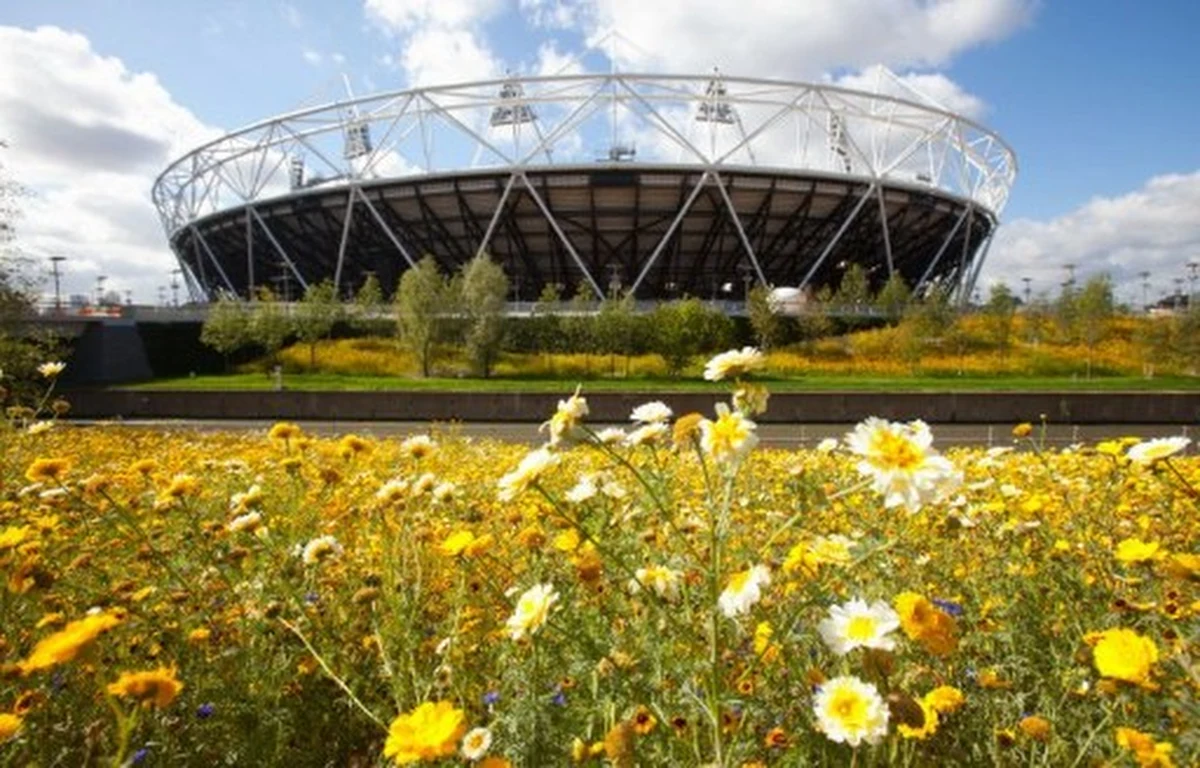 80 tysięcy osób będzie mogło zasiąść na stadionie budowanym na IO w Londynie. Gotowe są już m.in. welodrom i budynek z basenami. Park Olimpijski został przygotowany tak, aby zminimalizować zużycie wody oraz zmniejszyć emisję CO2. 

