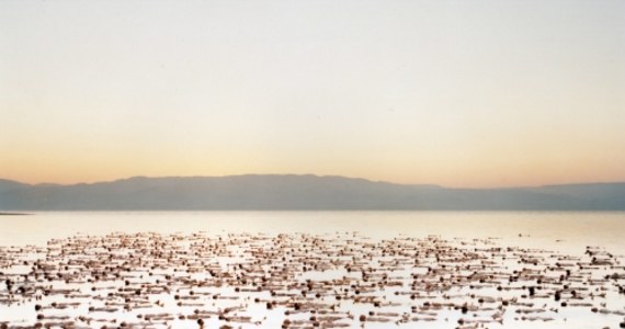Około 1000 nagich modeli i modelek pozowało do zdjęcia słynnego fotografa Spencer'a Tunick'a. Zdjęcie zostało zrobione na Morzu Martwym, niedaleko Ein Gedi w Izraelu. Ma na celu zwrócenie uwagi na obniżające się lustro wody Morza Martwego.