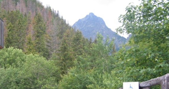 Szlaki powyżej schronisk w Tatrach Słowackich są zamknięte. Wszystkie tatrzańskie przełęcze i szczyty u naszych południowych sąsiadów niedostępnie będą aż do połowy czerwca i to niezależnie od pogody czy ilości śniegu. 

