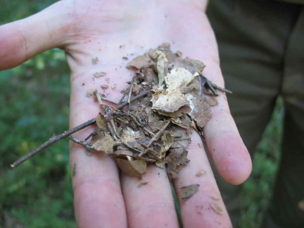 Tylko dwa razy - w 1908 i 1959 roku - jesień była na Słowacji tak sucha, jak ta mijająca. W niektórych rejonach u naszych południowych sąsiadów nie padało ponad trzy miesiące i nic nie wskazuje na to, żeby miało się coś zmienić.