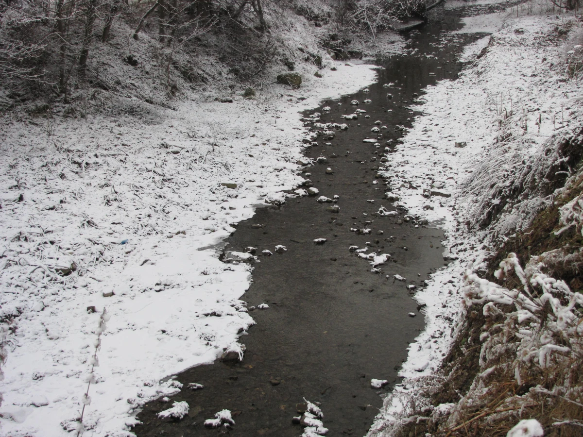 W niektórych regionach naszego kraju deszcz nie padał od sierpnia. W niektórych miejscach rzeki zamieniły się w strumyki. Do wielu wsi na Podhalu i Sądecczyźnie wodę trzeba dowozić, bo brakuje jej w ujęciach i studniach.