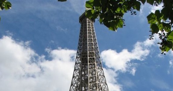 Wieża Eiffla przekształcona zostanie w "największe drzewo świata" - donoszą francuskie media. Całą żelazną strukturę najsławniejszego paryskiego zabytku pokryje na cztery lata ponad pół miliona roślin. Nowa aranżacja ma być symbolem ekologicznej polityki merostwa francuskiej stolicy.
