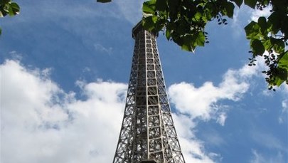 Wieża Eiffla będzie największym drzewem świata
