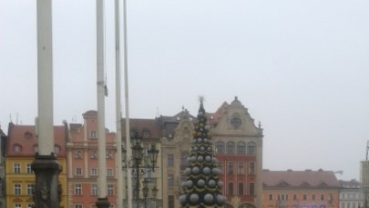 Choinka, a może twór choinkopodobny