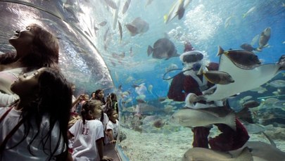 Podwodny Święty Mikołaj na Filipinach