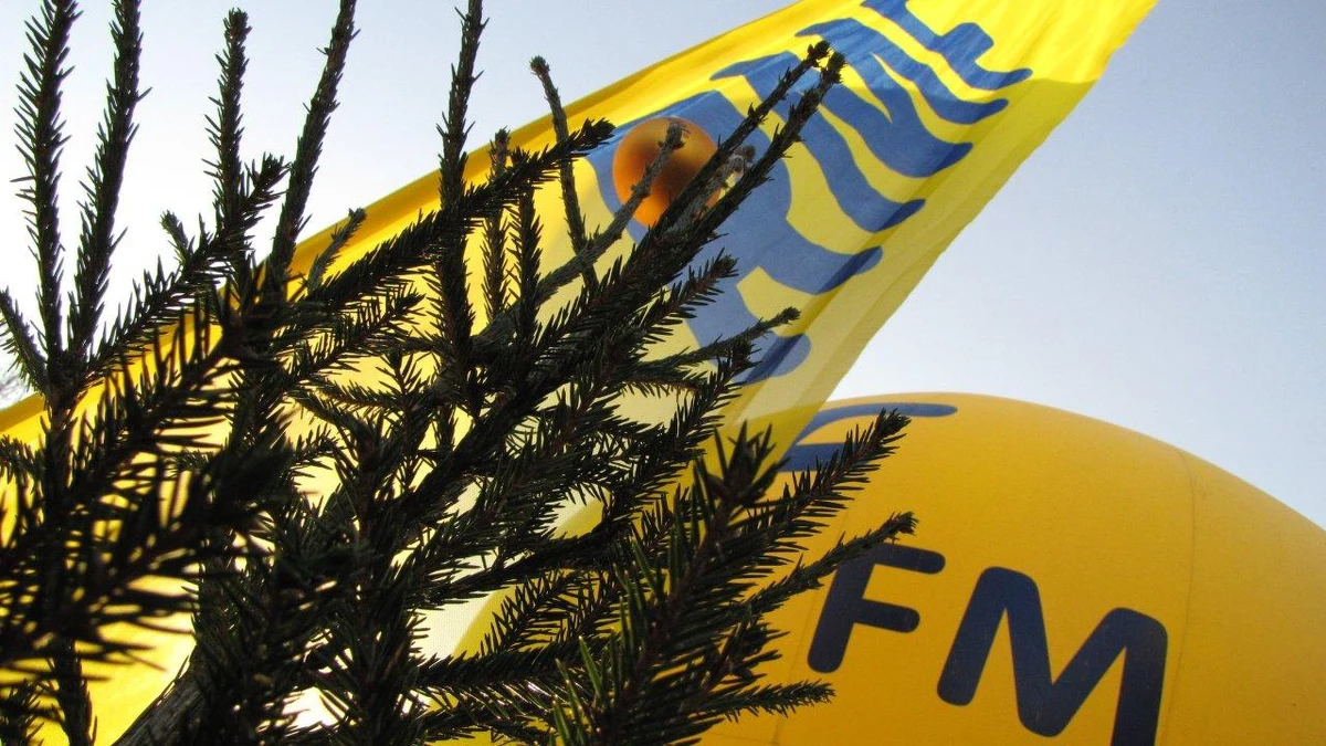 Choinkowe tournée RMF FM zawitało do Gdyni, gdzie rozdaliśmy Wam tysiąc drzewek. Po raz kolejny tropiliśmy także wokalne talenty w naszym kolędowym konkursie karaoke. To Wy zdecydujecie, kto awansuje do Wielkiego Finału. Ci, którzy pojawili się na Skwerze Kościuszki w Gdyni, mogli także zatańczyć makarenę!