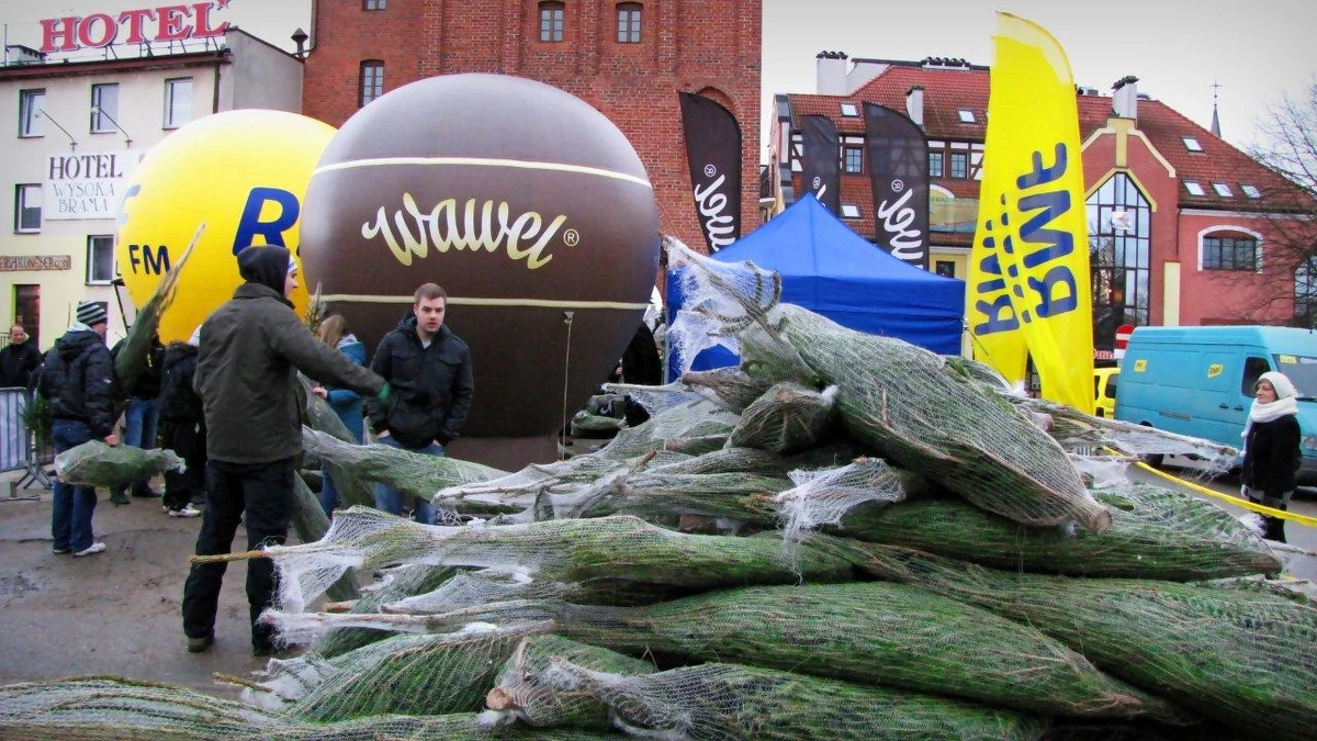 Choinkowe tournée RMF FM zawitało do Olsztyna, gdzie rozdaliśmy Wam tysiąc drzewek. Po raz kolejny tropiliśmy także wokalne talenty w naszym kolędowym konkursie karaoke. To Wy zdecydujecie, kto awansuje do Wielkiego Finału. W Olsztynie bezkonkurencyjni byli najmłodsi - posłuchajcie nagrań!