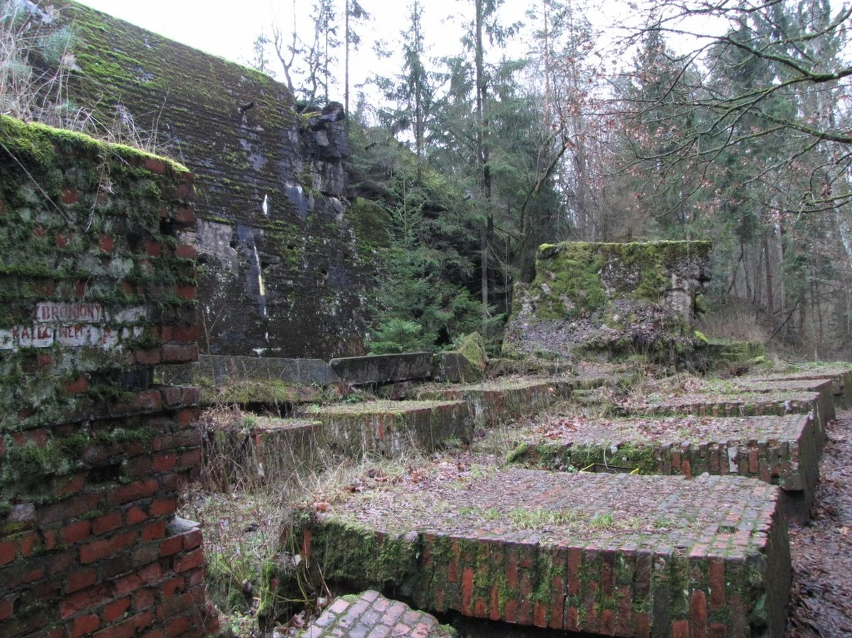 Lasy Państwowe ogłosiły przetarg na dzierżawę Wilczego Szańca, czyli systemu bunkrów, w którym w czasie II wojny światowej znajdowała się kwatera Adolfa Hitlera. Na oferty czekają do 27 stycznia.