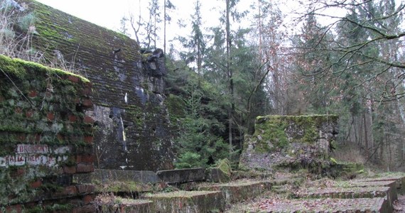 Lasy Państwowe ogłosiły przetarg na dzierżawę Wilczego Szańca, czyli systemu bunkrów, w którym w czasie II wojny światowej znajdowała się kwatera Adolfa Hitlera. Na oferty czekają do 27 stycznia.