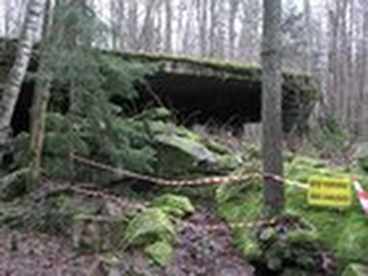 Lasom Państwowym ubyło kandydatów na dzierżawcę "Wilczego Szańca" - kompleksu bunkrów w Gierłoży na Mazurach, w których stacjonowało dowództwo hitlerowskiej armii. Początkowo w przetargu brały udział dwie firmy, ale dziś jedna z nich się wycofała.
