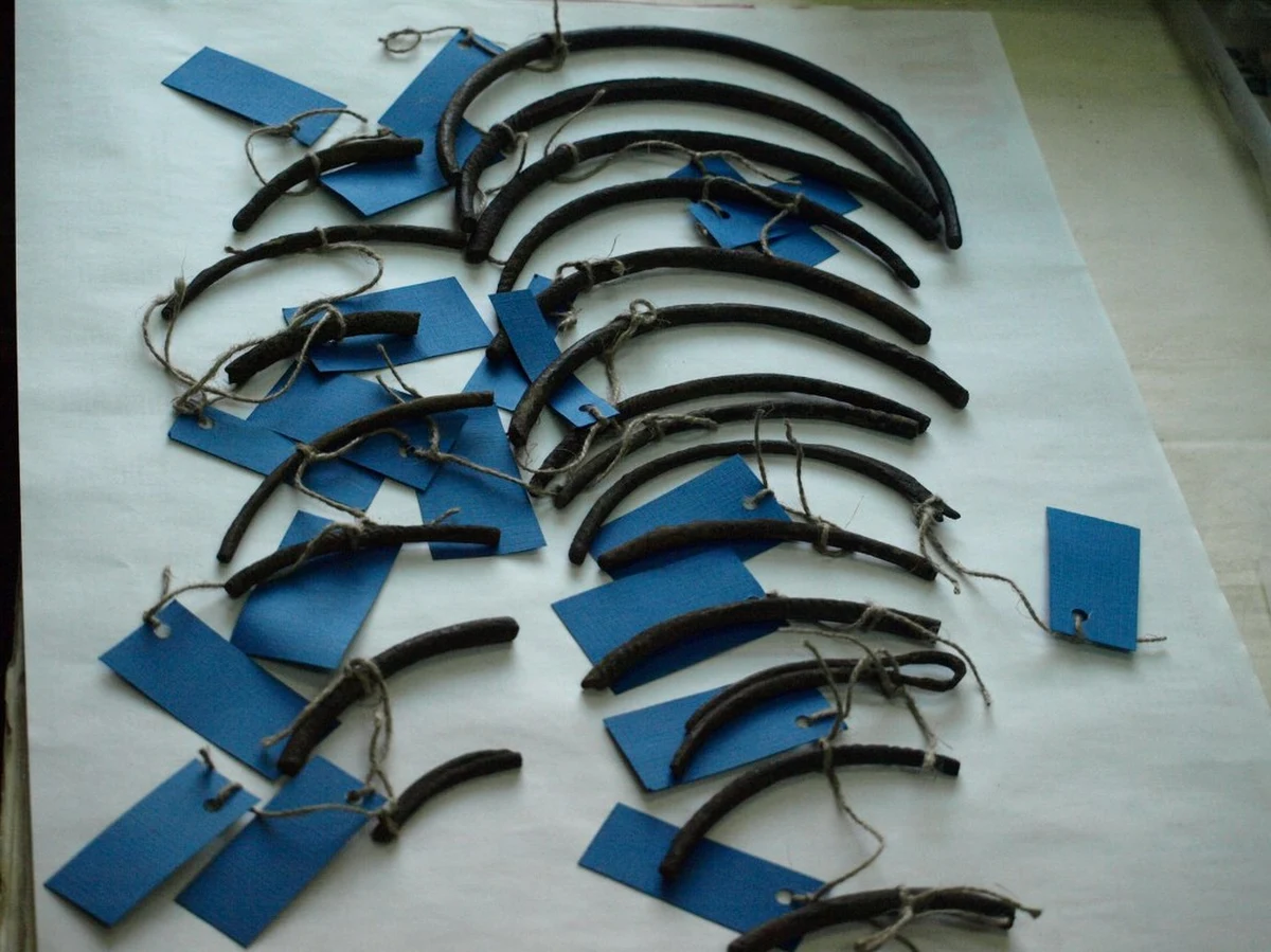 Poszukiwacze skarbów z Iławy na Mazurach odnaleźli ozdoby sprzed 2,5 tys. lat. To zaledwie drugie po wojnie tak stare znalezisko w tej części Polski. Poszukiwacze przekazali go Muzeum Warmii i Mazur, teraz muzealnicy zaczną jego renowację.