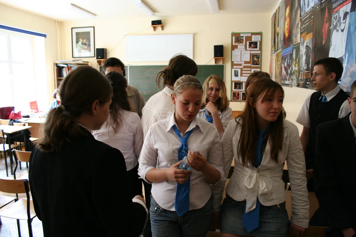 Instytut Badań Edukacyjnych przedstawił wyniki badań, które zostały przeprowadzone wśród uczniów klas III gimnazjów, gdy ci pisali próbny egzamin. Wynika z nich, że gimnazjaliści mają problemy z matematyką, nie potrafią formułować własnych opinii i nie czytają lektur.