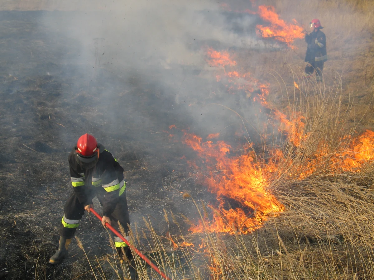 87-letni mężczyzna z podkarpackiego Straszydla to pierwsza tegoroczna ofiara wypalania traw. Im cieplej, tym więcej wezwań odbierają strażacy. Tylko w Małopolsce w ciągu doby trzeba było ugasić prawie 200 pożarów. Policja alarmuje, że podpalanie traw jest nie tylko niebezpieczne, ale przede wszystkim nielegalne.