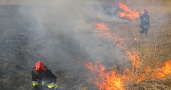 87-letni mężczyzna z podkarpackiego Straszydla to pierwsza tegoroczna ofiara wypalania traw. Im cieplej, tym więcej wezwań odbierają strażacy. Tylko w Małopolsce w ciągu doby trzeba było ugasić prawie 200 pożarów. Policja alarmuje, że podpalanie traw jest nie tylko niebezpieczne, ale przede wszystkim nielegalne.