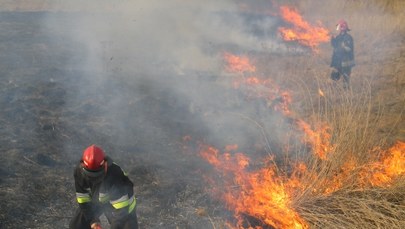 Tragiczne skutki wypalania traw. Nie żyje 87-letni mężczyzna