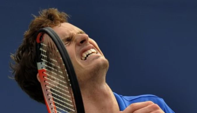Murray: Kocham atmosferę Pucharu Davisa