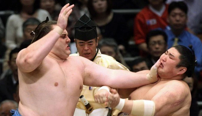 Skandal z udziałem gwiazdy sumo w Japonii