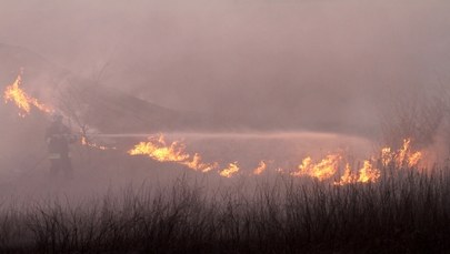 Ogromny pożar traw w Kokotowie