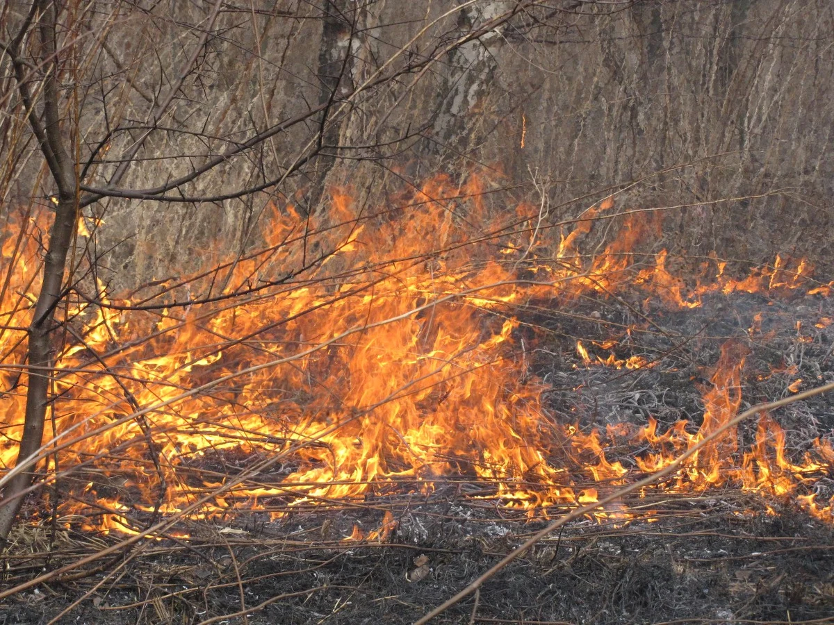 Kilkadziesiąt razy dziennie wyjeżdżają lubelscy strażacy do gaszenia płonących traw. Jak sami mówią, to walka z wiatrakami. Jeden pożar ugaszą, a już pojawia się kolejny.