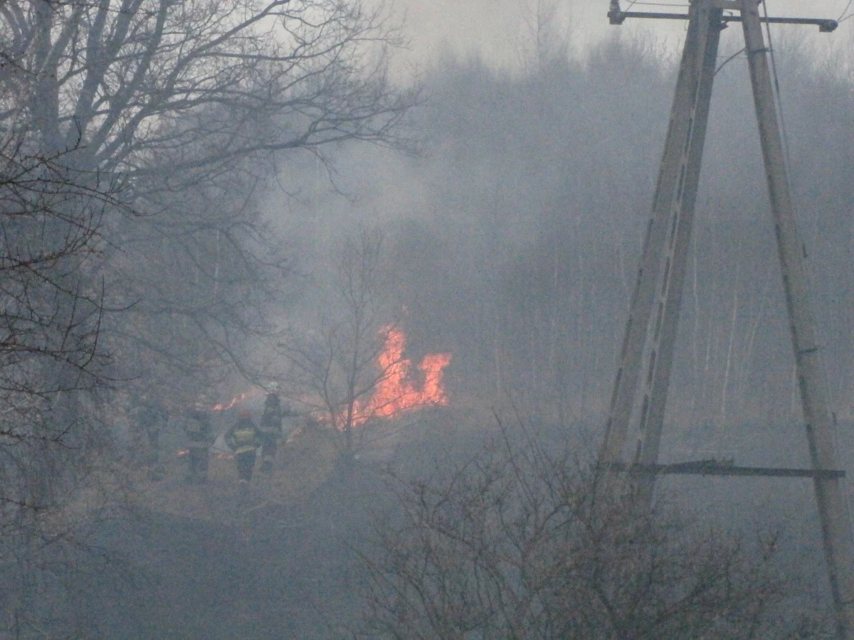 100 strażaków gasiło pożar budynków gospodarczych i około 50 hektarów traw przy ulicy Beskidzkiej na przedmieściach Łodzi. Płomienie zagrażały również jednemu z okolicznych domów. Na szczęście pożar udało się już opanować.