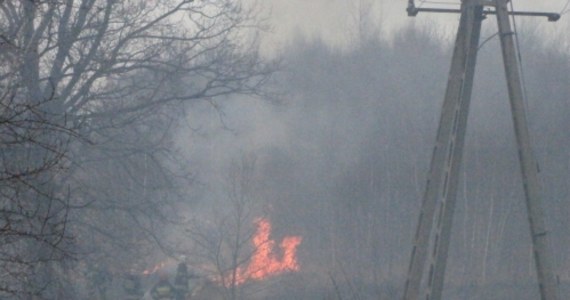 100 strażaków gasiło pożar budynków gospodarczych i około 50 hektarów traw przy ulicy Beskidzkiej na przedmieściach Łodzi. Płomienie zagrażały również jednemu z okolicznych domów. Na szczęście pożar udało się już opanować.