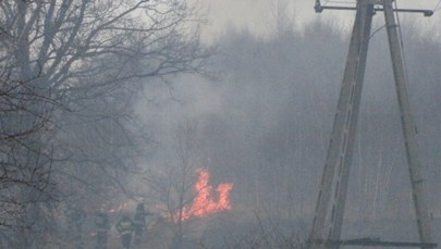 Groźny pożar w Łodzi, zapaliły się trawy i budynki gospodarcze