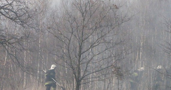 Po dłuższym okresie bez opadów w całej Polsce doszło do kilku groźnych pożarów. Powodem niektórych z nich było nieodpowiedzialne wypalanie traw. Na Mazowszu podczas palenia starych gałęzi zginął 59-letni mężczyzna.