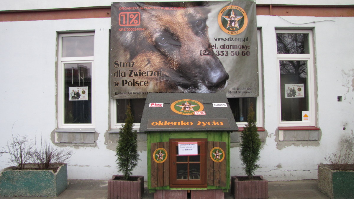 Warszawskie okienko życia dla zwierząt znów przyjmuje czworonogi potrzebujące nowych właścicieli. W weekend nowy dom znalazła blisko setka zwierząt. To "odkorkowało" schronisko.