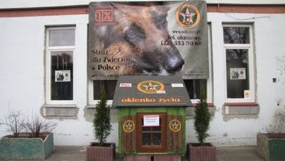 Okno życia dla zwierząt znów działa w Warszawie