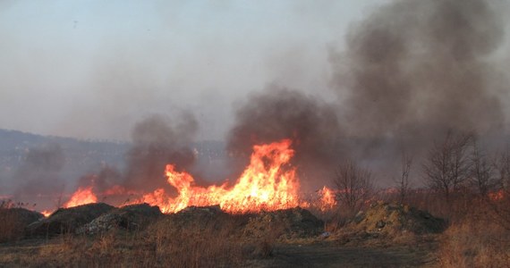 Groźny pożar traw w Krakowie. Ogień strawił prawie 10 hektarów łąk w pobliżu III Kampusu Uniwersytetu Jagiellońskiego na osiedlu Ruczaj. Było duże ryzyko, że płomienie dotrą do zabudowań. Informację o pożarze dostaliśmy na Gorącą Linię RMF FM.