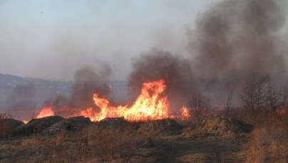 Kraków: Pożar traw zagrażał budynkom Kampusu Uniwersytetu Jagiellońskiego