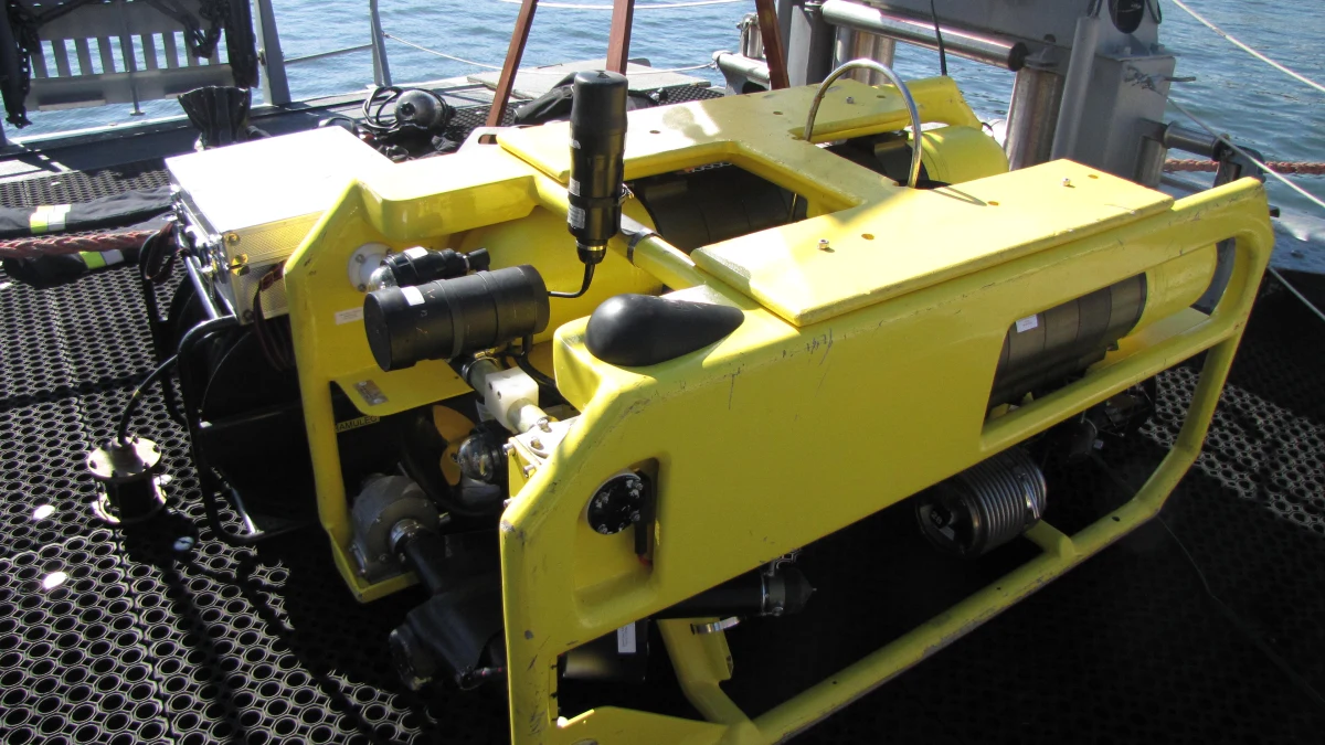 Marynarka Wojenna otworzyła dziś cywilom bramy portu wojennego. Okazją był jubileusz 13. Dywizjonu Trałowców. To najbardziej eksploatowane okręty polskiej floty. Uczestniczą w międzynarodowych misjach, manewrach NATO i operacjach bojowych. Czym tak naprawdę się zajmują?