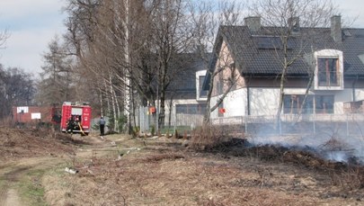 Pożar traw w krakowskich Bronowicach