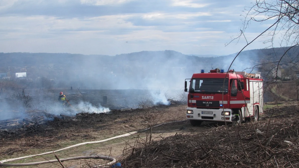 W krakowskich Bronowicach strażacy dogaszają pożar ponad 10 hektarów nieużytków. Z ogniem, który zagrażał pobliskim budynkom mieszkalnym, walczyło 100 strażaków. Najprawdopodobniej pożar jest skutkiem podpalenia.