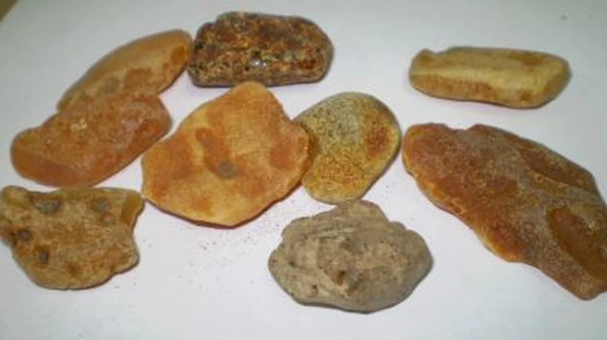 Celnicy z polsko-rosyjskiego przejścia w Gronowie w warmińsko-mazurskiem zatrzymali mężczyznę, który próbował wwieźć z Rosji do Polski aż 16 kg bursztynu. Rosyjski przemytnik zapłacił 3 tysiące grzywny. Teraz na cennych kamieniach zarobi nie on, lecz polski Skarb Państwa.