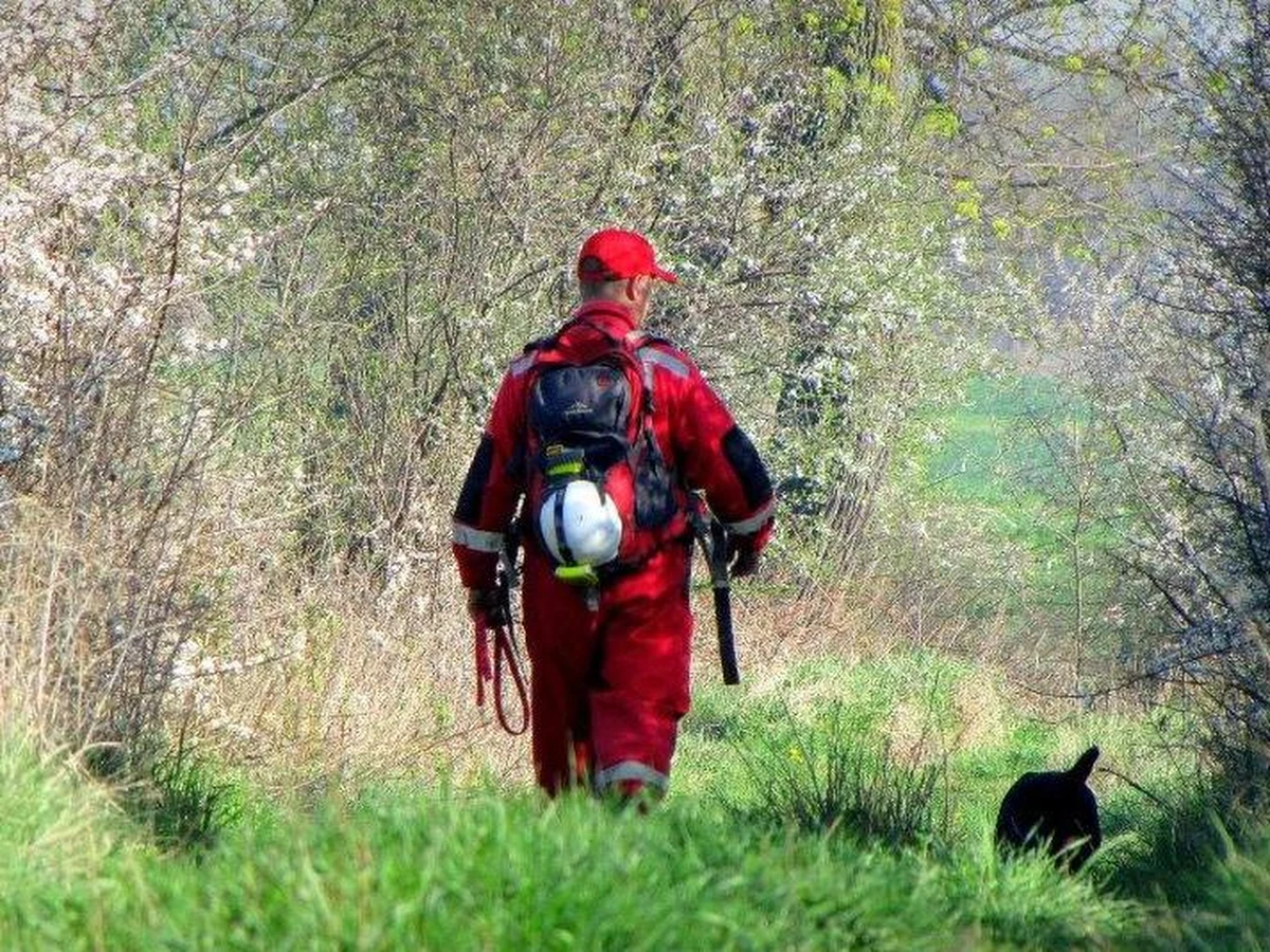 Dwuletni Adrian, który zaginął wczoraj po południu w okolicach Łaguszewa w Pomorskiem, jest już bezpieczny. Rano załoga śmigłowca, który włączył się w akcję poszukiwawczą, wypatrzyła chłopca. Dziecko zostało przewiezione do szpitala na badania.