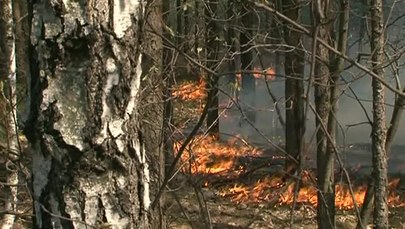 Pożary lasów wokół Częstochowy