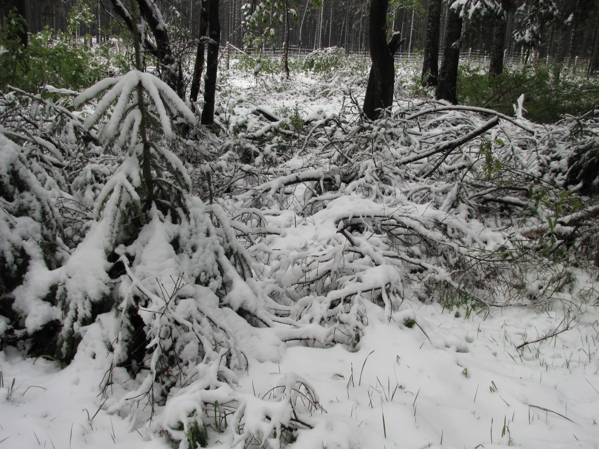 I cóż, że w kalendarzu pełnia wiosny? Na Podhale wróciła zima. W nocy w rejonie Zakopanego spadł śnieg. Termometry w mieście pokazywały rano zaledwie dwie kreski na plusie, na Łysej Polanie było zero, a na Kasprowym Wierchu minus pięć. Chłodno, choć już nie tak bardzo, jest także w innych rejonach Polski.