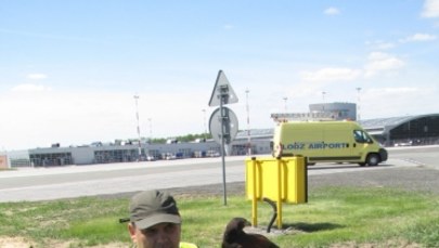 Pies Falco wypłoszy ptaki z łódzkiego lotniska