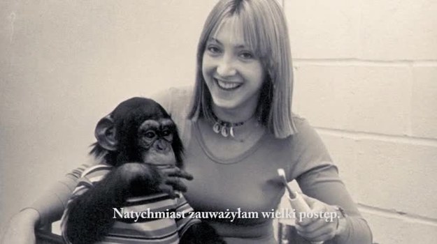W 1973 r., w klatce ośrodka badawczego ssaków naczelnych w Oklahomie, rodzi się mały szympans. Kilka dni później jego matka dostaje uspokajający zastrzyk, a jej dziecko w brutalny sposób zostaje jej odebrane. Mały szympans, Nim, ma zostać wychowany w świecie ludzi...