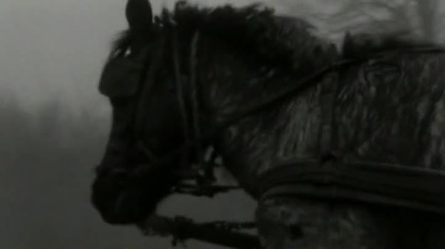 Zobacz fragment filmu "Koń turyński", najnowszego dzieła węgierskiego reżysera Beli Tarra.