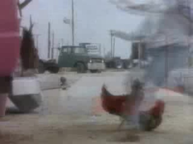 ZZ TOP - wspomina Anna Grzegożek!