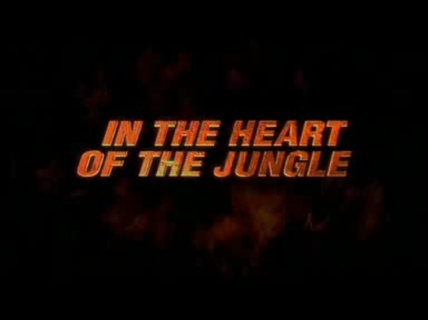 7 marca do kin trafia czwarty film o przygodach Johna Rambo. W roli głównej znów zobaczymy Sylvestra Stallone.