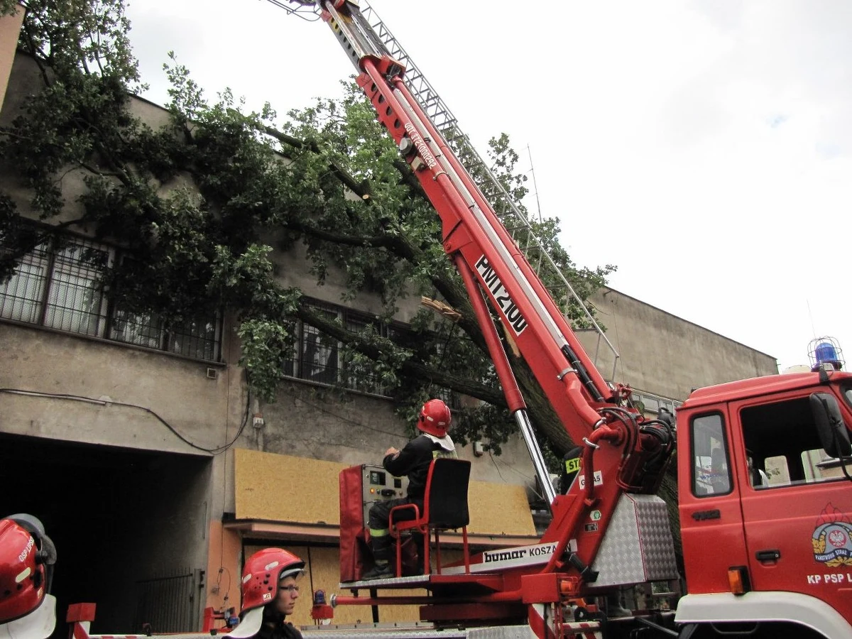 Ponad 750 razy interweniowali strażacy ubiegłej dobry w związku z potężnymi nawałnicami, które przeszły nad Polską - poinformował rzecznik Komendy Głównej Straży Pożarnej Paweł Frątczak. Burze przeszły nad województwami świętokrzyskim, mazowieckim, śląskim, kujawsko-pomorskim i podlaskim. Najbardziej ucierpiały natomiast gminy Klucze i Wolbrom w Małopolsce.
