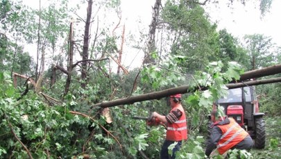 Nawałnice w Małopolsce. Klucze po przejściu trąby powietrzej