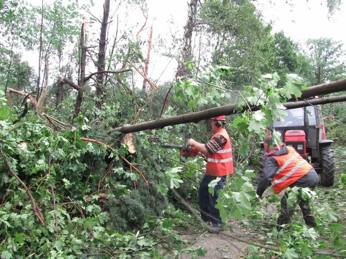 Ponad 1300 razy interweniowali strażacy w związku z potężnymi nawałnicami, które w nocy z poniedziałku na wtorek przeszły nad Polską - poinformował rzecznik Komendy Głównej Straży Pożarnej Paweł Frątczak. Bez prądu pozostaje kilkanaście tysięcy gospodarstw. Jeszcze we wtorek poszkodowani dostali pierwsze zapomogi.