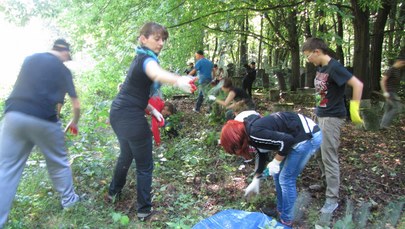 Młodzi wolontariusze sprzątają cmentarz żydowski w Łodzi
